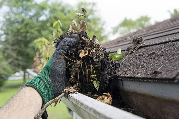 if you notice water overflowing from your gutters or plants growing in them, it's time for gutter cleaning